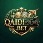 Qaidi804 Game